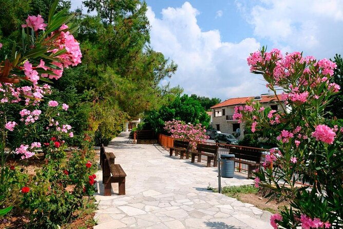 100-cyprus-tour-to-troodos-mountains-and-villages-from-paphos