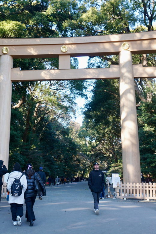tokyo-harajuku-meiji-shrine-1h-walking-explanation-tour