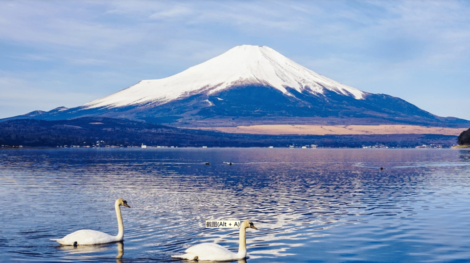 tokyo-mt-fuji-hakone-cruise-ropeway-oshino-hakkai-tour