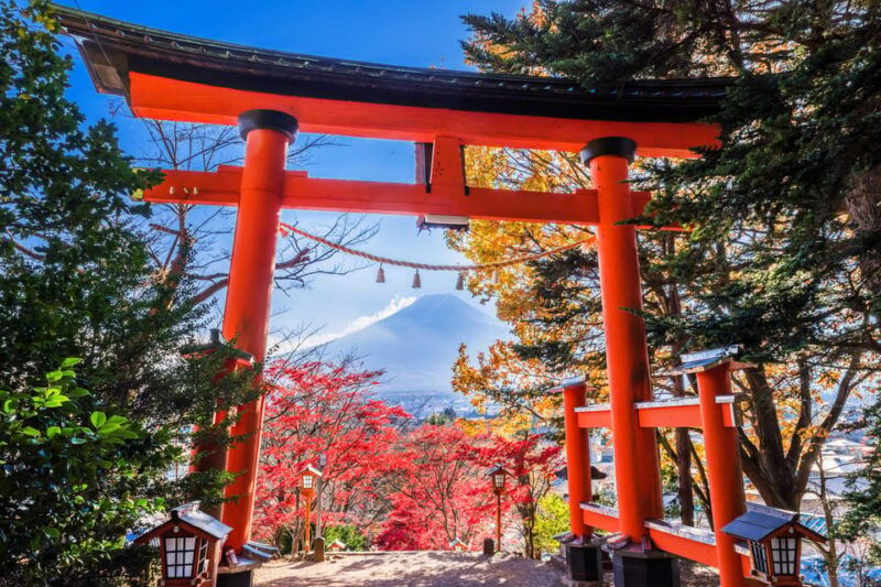tokyo%ef%bc%9amount-fuji-popular-instagrammable-sightseeing-tour