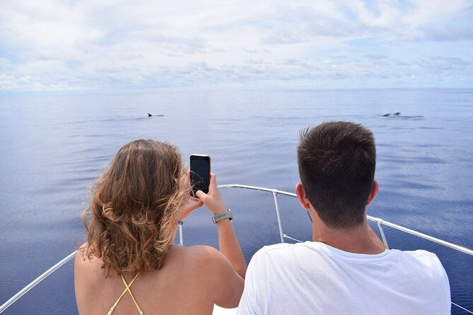 whale-and-dolphin-watching-tour-in-madeira