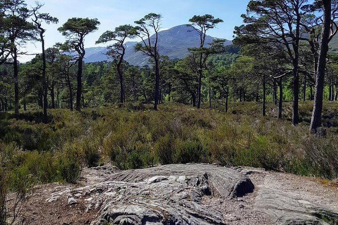 alternative-loch-ness-tour-by-secret-highlands