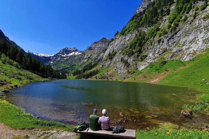 breathtaking-private-hike-with-a-local-swiss-expert-1-day-trip