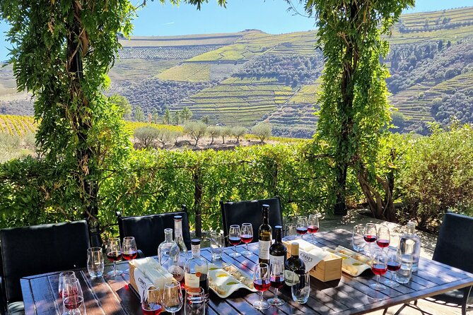 douro-valley-expert-guide-boat-lunch-tastings-premium-service