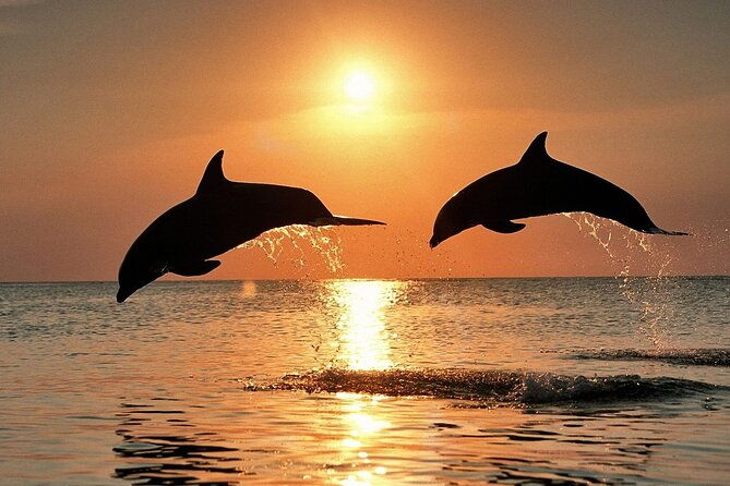 exclusive-dolphin-sunset-cruise-with-dinner-drinks-from-pula