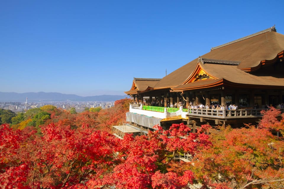 from-osaka-kyoto-nara-1-day-bus-tour