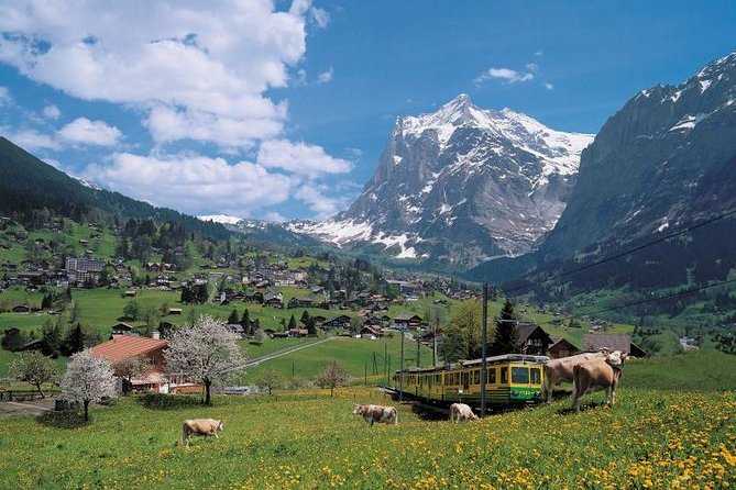grindelwald-and-interlaken-independent-day-trip-from-lucerne