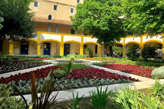 half-day-van-gogh-tour-of-provence-from-avignon