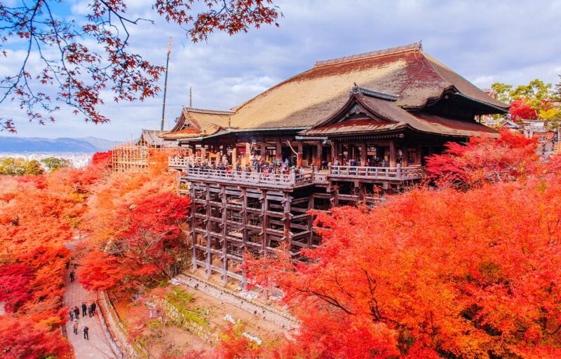 kyoto-and-nara-unesco-highlights-full-day-tour-from-osaka