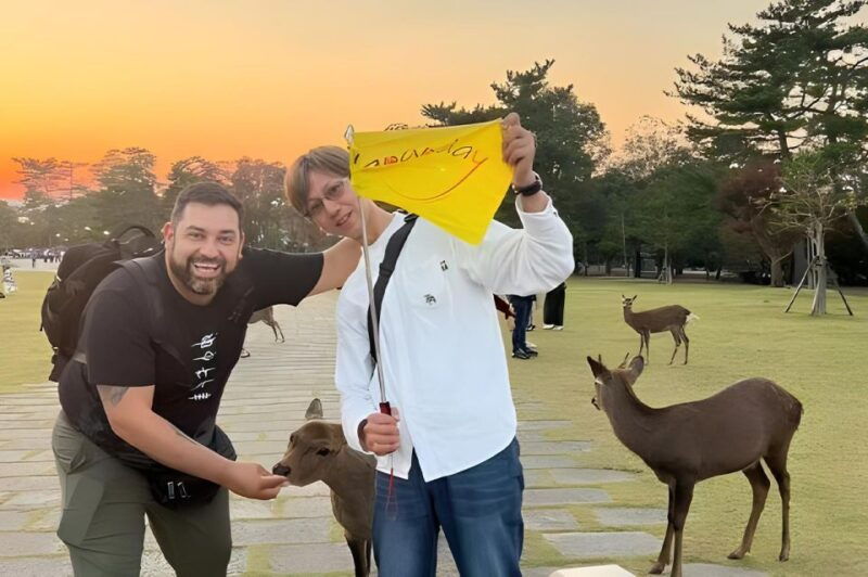 kyoto-osaka-kyoto-and-nara-unesco-sites-history-day-trip