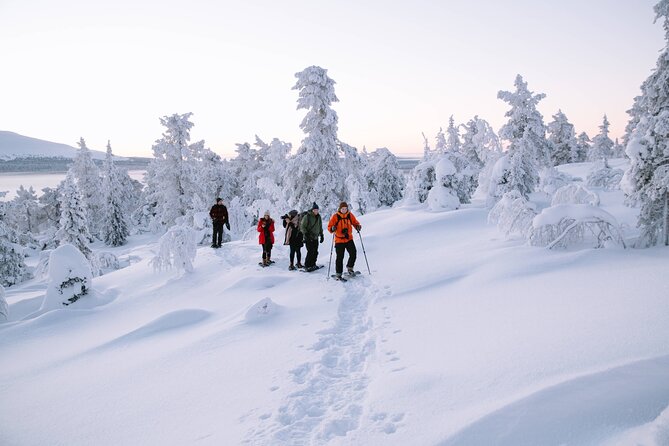 lapland-winter-experience