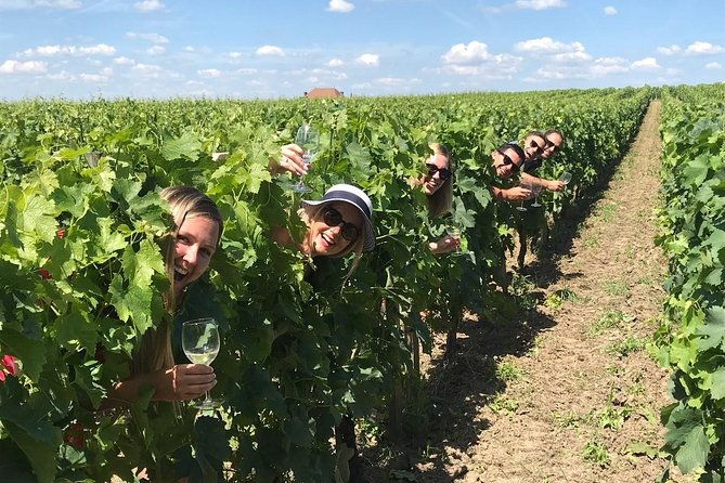 medoc-or-saint-emilion-wine-tasting-and-chateau-from-bordeaux