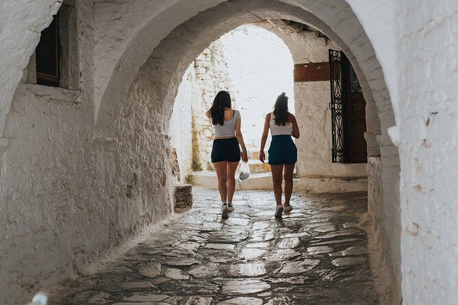 naxos-highlights-bus-tour-with-free-time-for-lunch-at-apeiranthos