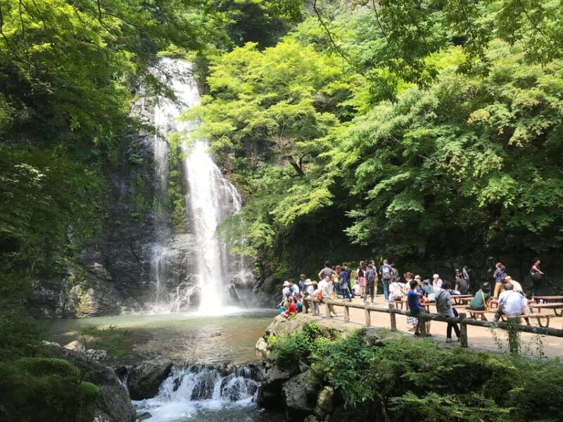 osaka-mino-forest-walk-and-giant-waterfall-with-local-lunch