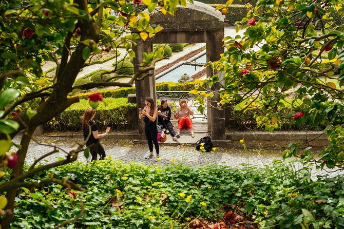 porto-private-tour-with-locals-highlights-hidden-gems