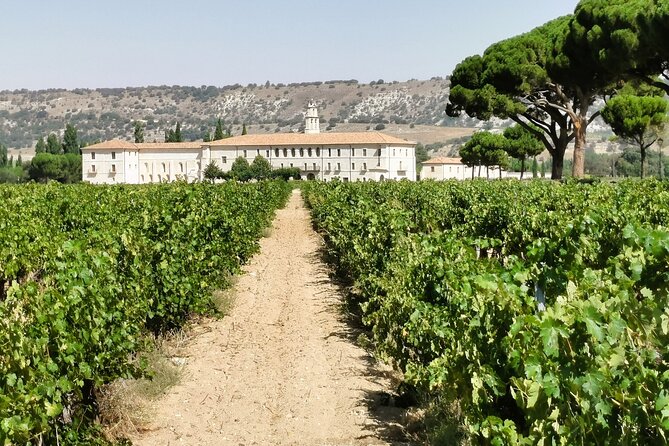 premium-ribera-del-duero-tour-with-winemaker-guide