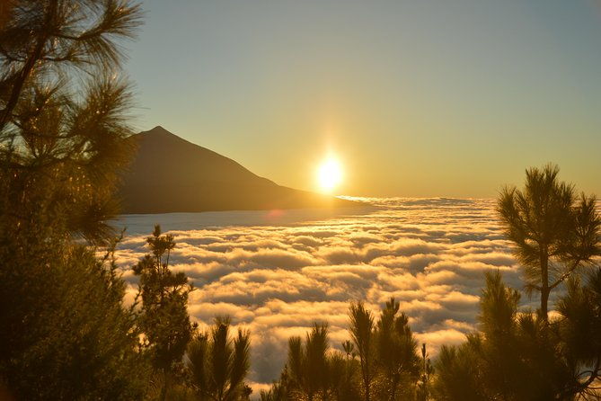 private-tour-teide-national-park-hiking-and-stargazing