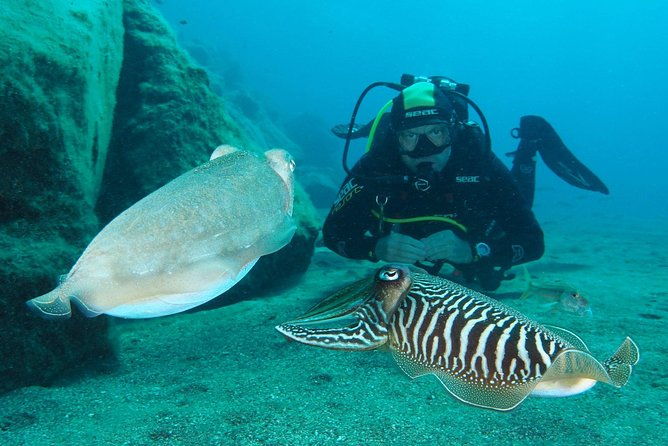 single-dive-for-qualified-divers-from-shore-region-puerto-del-carmen