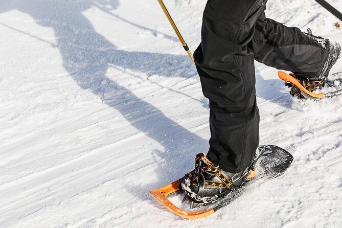 snowshoe-tour-in-winter-wonderland-oslo