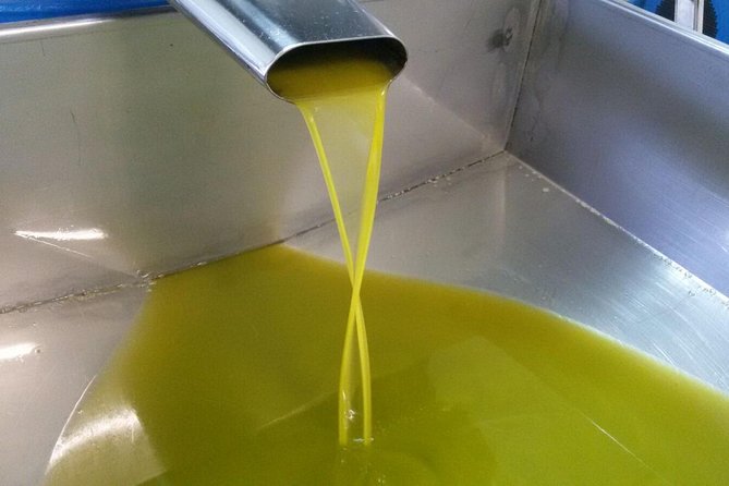 sorrento-farm-and-food-experience-including-olive-oil-limoncello-wine-tasting
