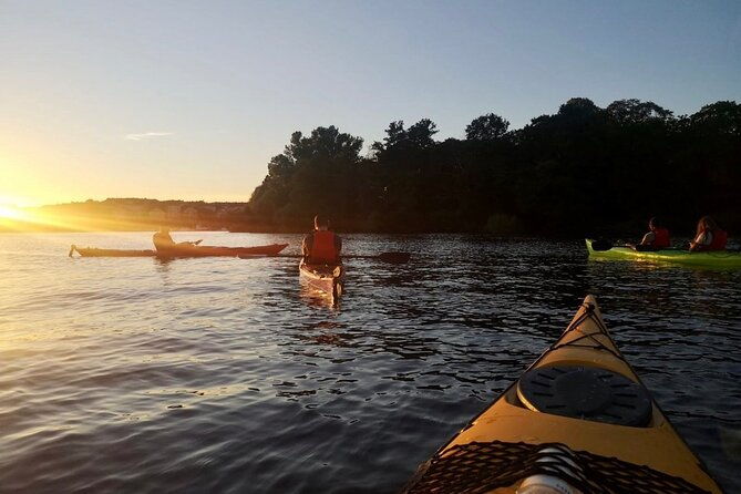 sunset-kayak-tour-in-central-stockholm-and-swedish-fika