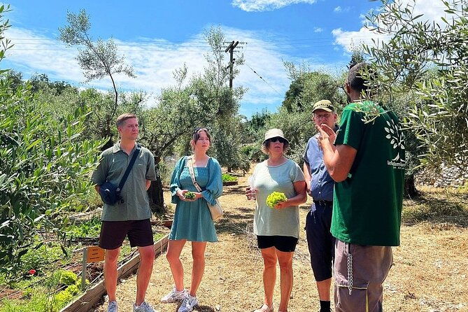 the-olive-oil-experience-lefkada-micro-farm