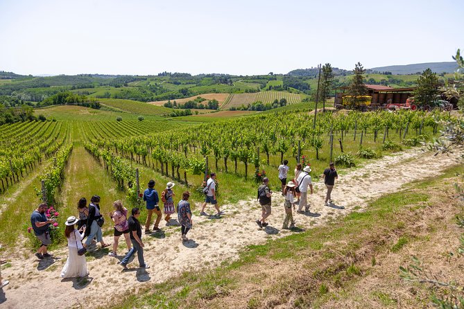 tuscany-day-trip-from-florence-siena-san-gimignano-pisa-and-lunch-at-a-winery