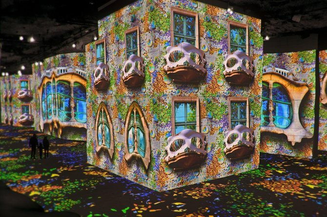 van-gogh-carrieres-de-lumieres-half-day-tour-from-avignon