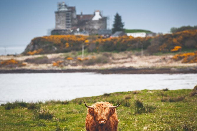 3-day-isle-of-mull-and-iona-small-group-tour-from-glasgow