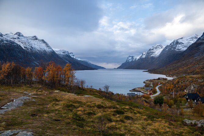 arctic-roadtrip-fjords-with-scenic-picnic-sightseeing
