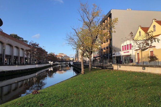 aveiro-rent-a-bike-4-hours