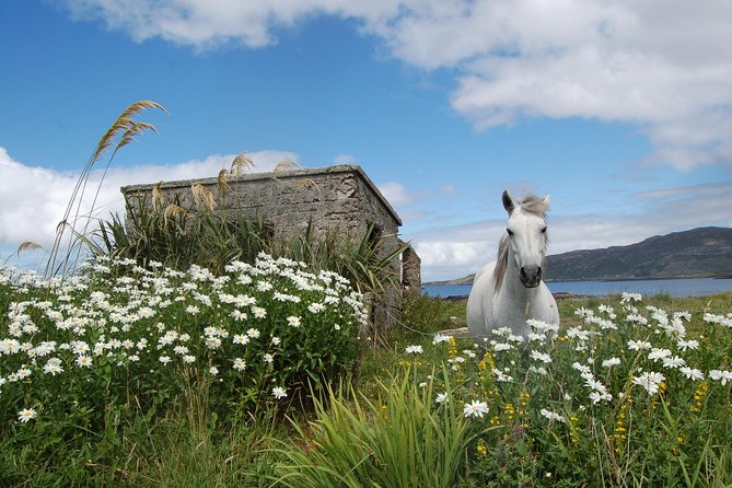 connemara-kylemore-abbey-and-wild-atlantic-way-tour-from-galway