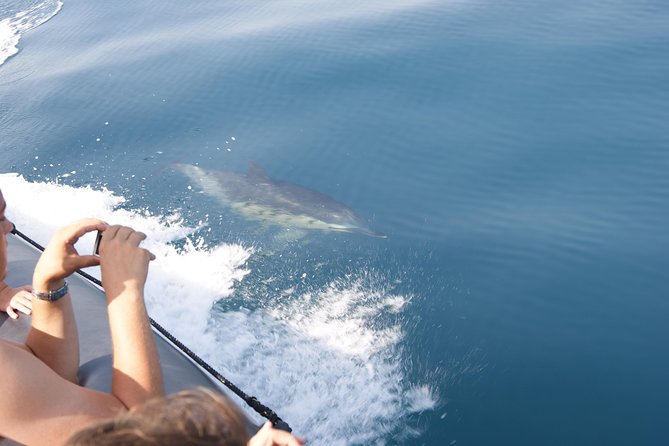 dolphin-watching-and-cave-tour-from-vilamoura