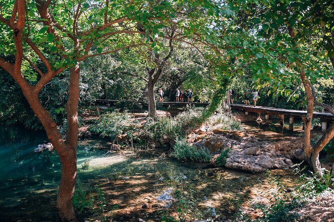 from-split-krka-waterfalls-food-wine-tasting-tour