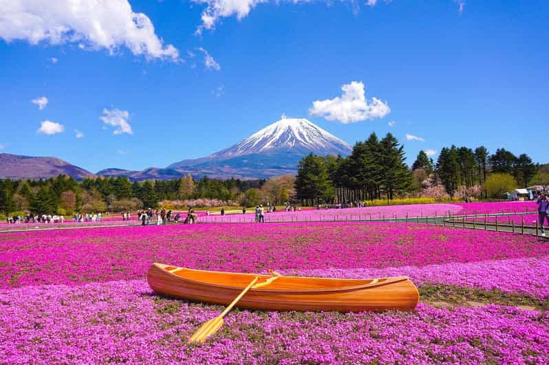 from-tokyo-mt-fuji-day-tour-with-oshino-hakkai-ropeway