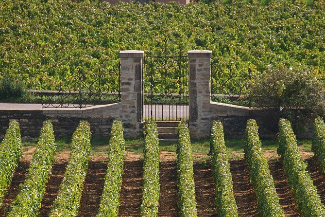 full-day-from-dijon-the-most-of-burgundy-with-lunch