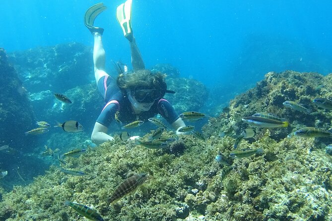 kayak-snorkel-tour-in-cerro-gordo-natural-park-la-herradura