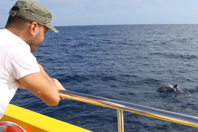 lobos-island-the-dolphin-route