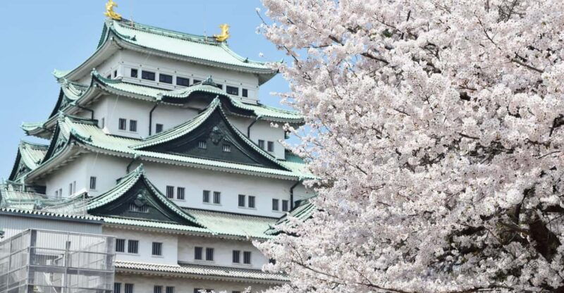 nagoya-english-guided-jogging-tour-of-the-city-2-hours