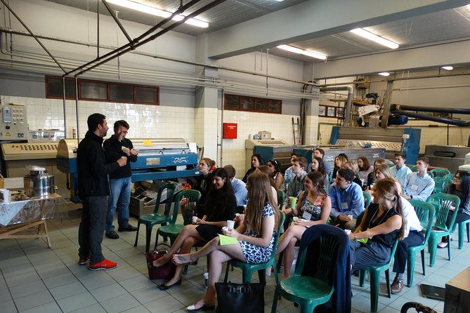 olive-tour-tasting