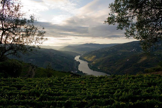porto-day-trip-to-douro-including-lunch-and-rivercruise