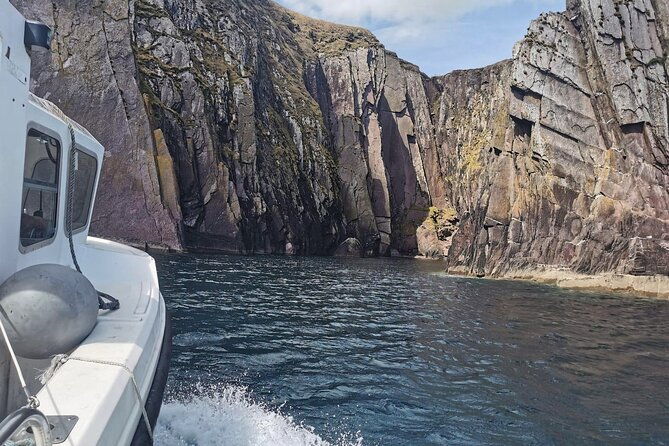 private-1-hour-guided-boat-tour-in-dingle-peninsula
