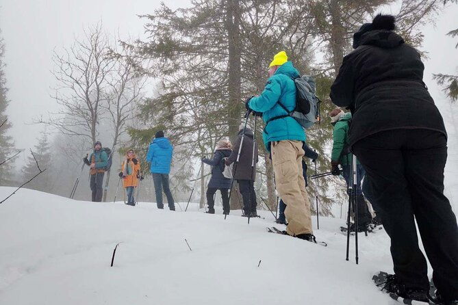 snowshoe-tour-in-winter-wonderland-oslo