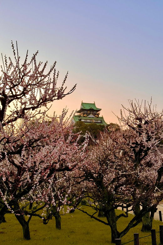 ticket-included-explore-osaka-castle-museum-of-history