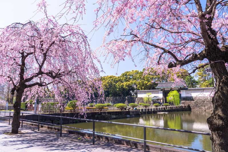 tokyo-east-garden-of-the-imperial-palace-walking-tour