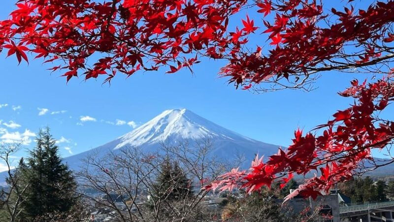 tokyo-full-day-tour-of-the-four-majestic-spots-of-mt-fuji