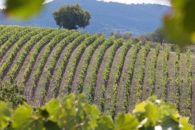 vespa-tour-in-chianti-small-group-from-florence