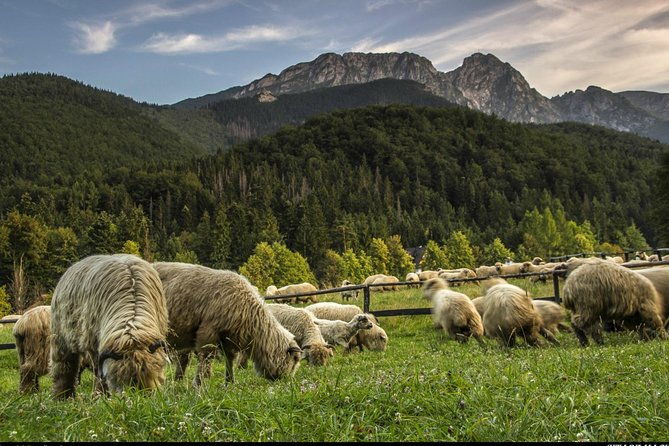 zakopane-thermal-springs-private-tour