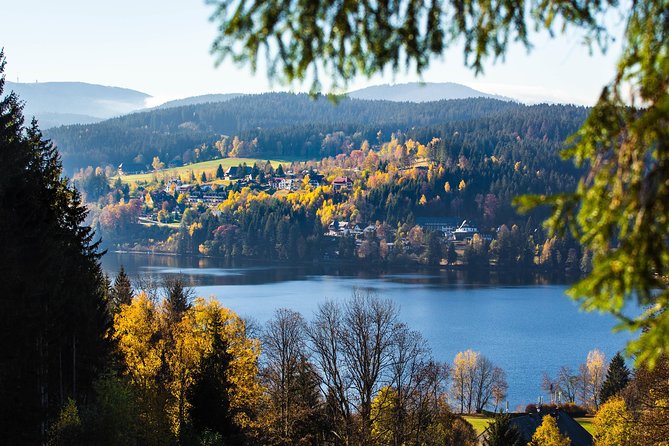 black-forest-and-rhine-falls-day-trip-from-zurich