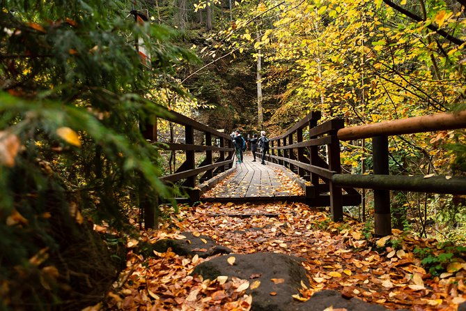bohemian-and-saxon-switzerland-national-park-day-trip-from-prague-best-reviews
